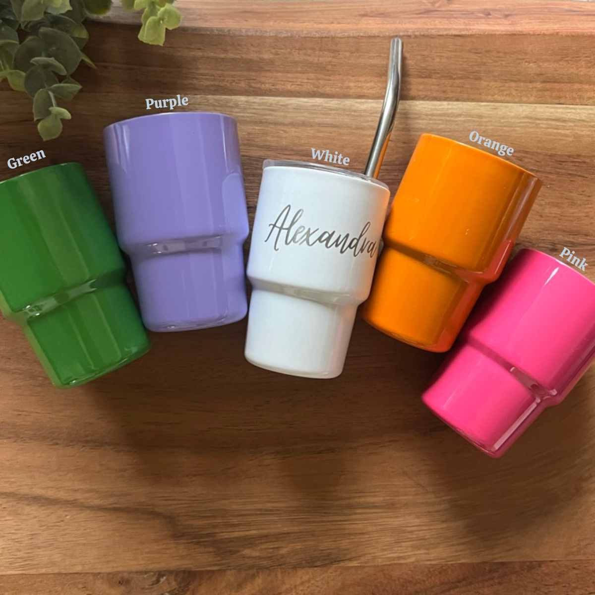 Personalized Engraved Mini Tumbler